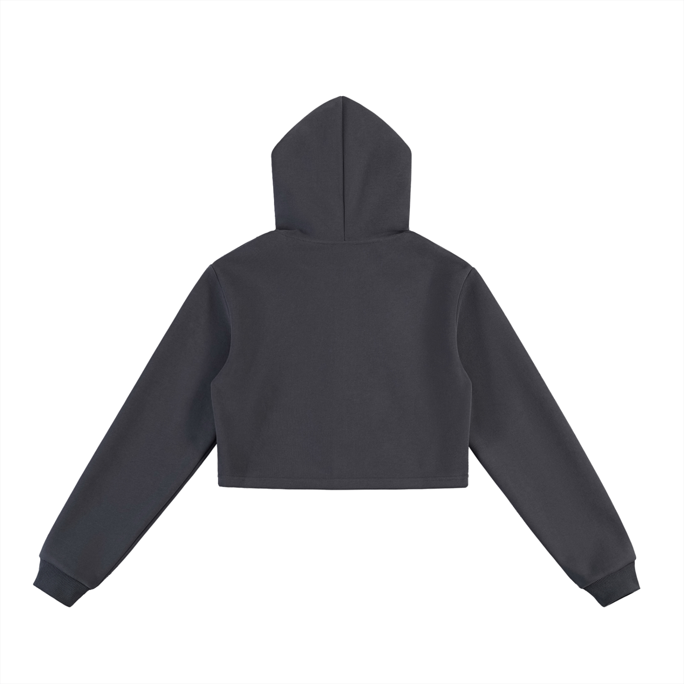 Bardibal Cropped Zip-Up Hoodie