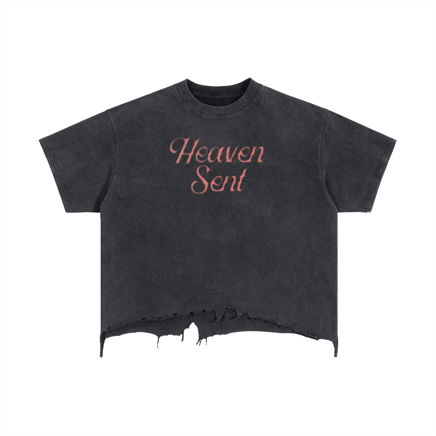 "HEAVEN SENT / ANGEL" T-SHIRT
