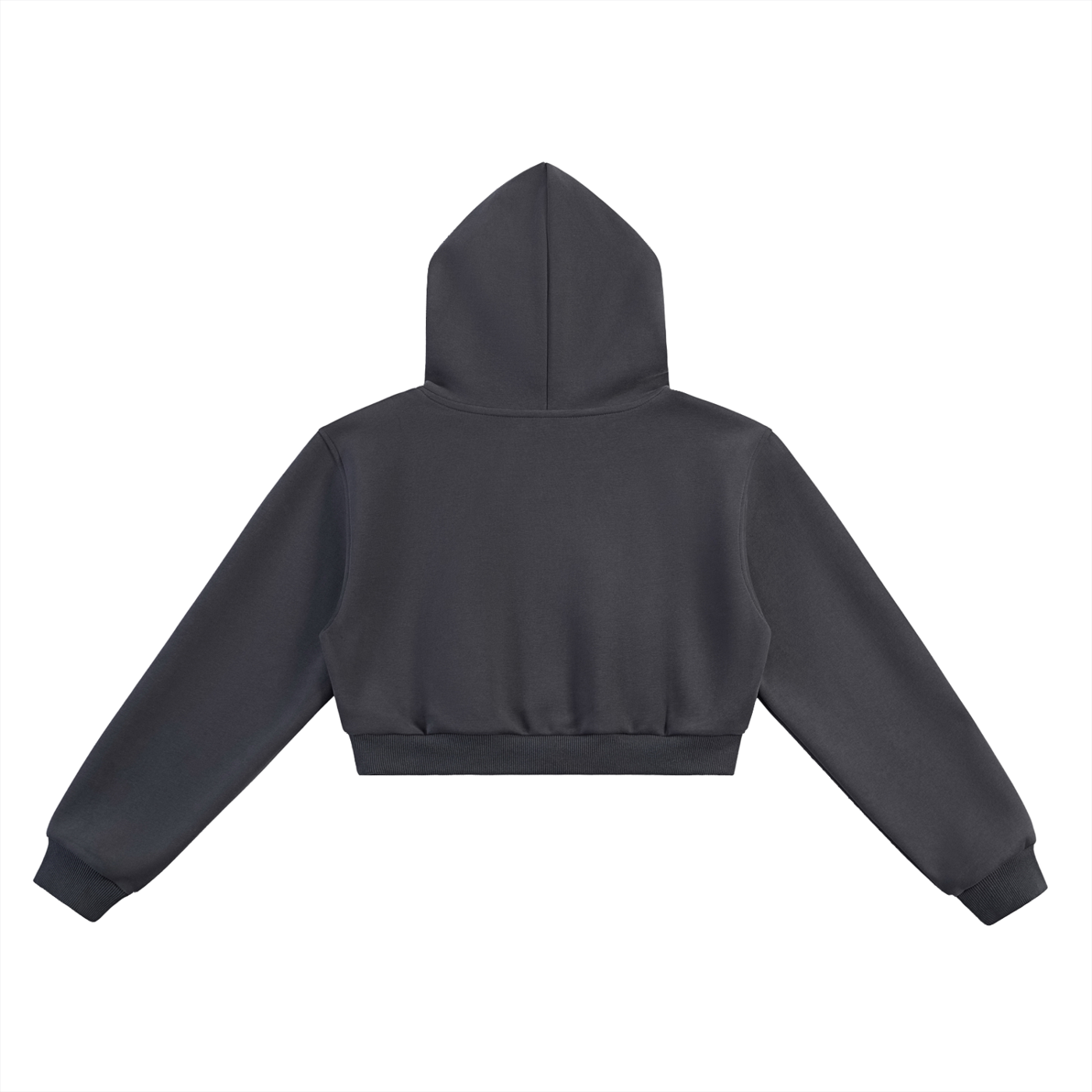 Bardibal Cropped Hoodie