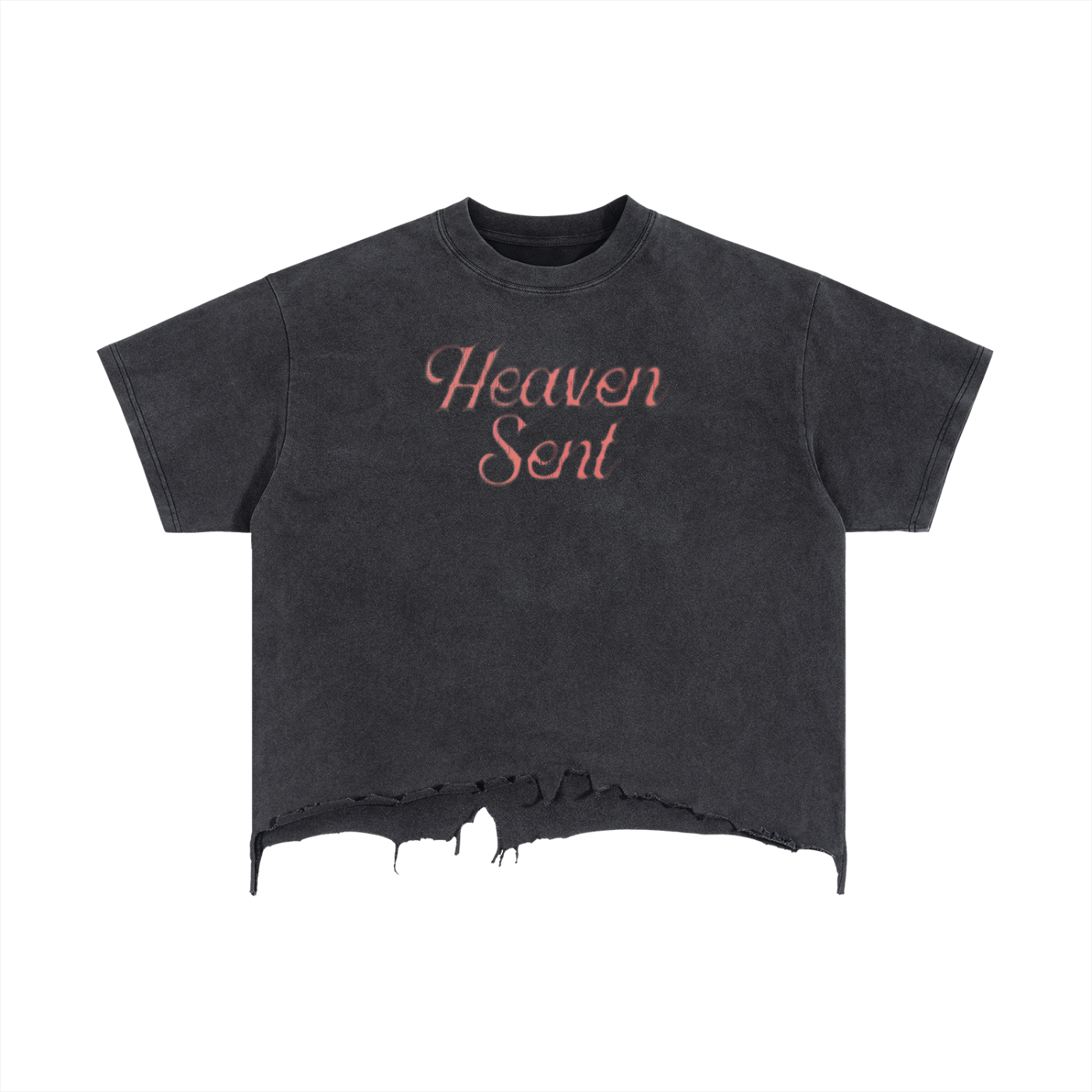 "HEAVEN SENT / ANGEL" T-SHIRT